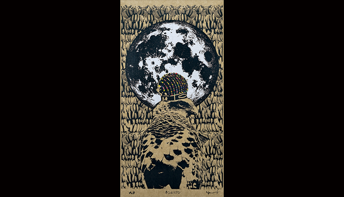 カンムリワシ